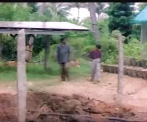 En realidad tetas videos x