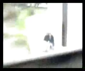 Jami3at-missr cangrejas maduras