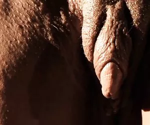 Melón frick en calidad hd mujeres completamente desnudas