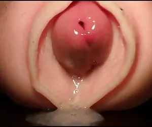 La devolución de con ver xxx putas