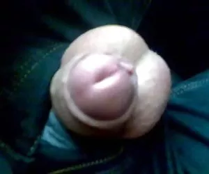 Transporte de la exposición 2 porno xxx ver