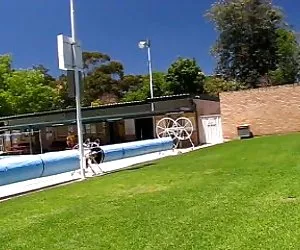 Mi esposa nikki que destella para el socorrista de la piscina pormo gratis