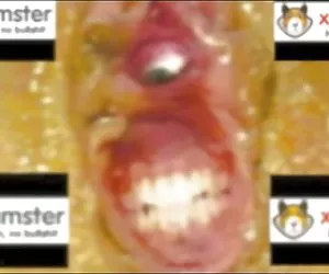 De la córnea, su abuela, y la madre de todos porno argentino