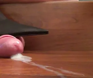 El gallo y la pelota en zapatos de tacones altos zapatos ver mujeres desnudas