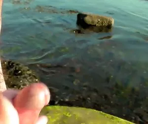 Reino unido el vagabundo de nuevo la suerte. myzorras