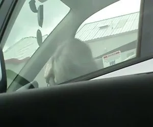 Una paja a maduro coito anal videos