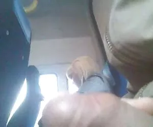 Transporte de la exposición 7 videos parno