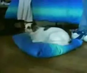 Sexo discapacitado en silla de ruedas de videos mujeres xxx