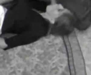 Jenny34 alemán videos gratis mujeres desnudas