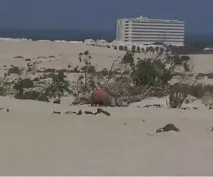 Mariels sobrina y el anciano en la playa ver sexo videos