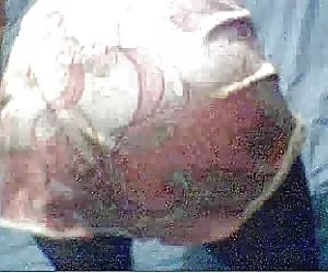 Travesti-francés putas y putos