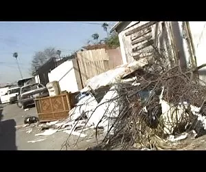 Puta denise videos guarros gratis